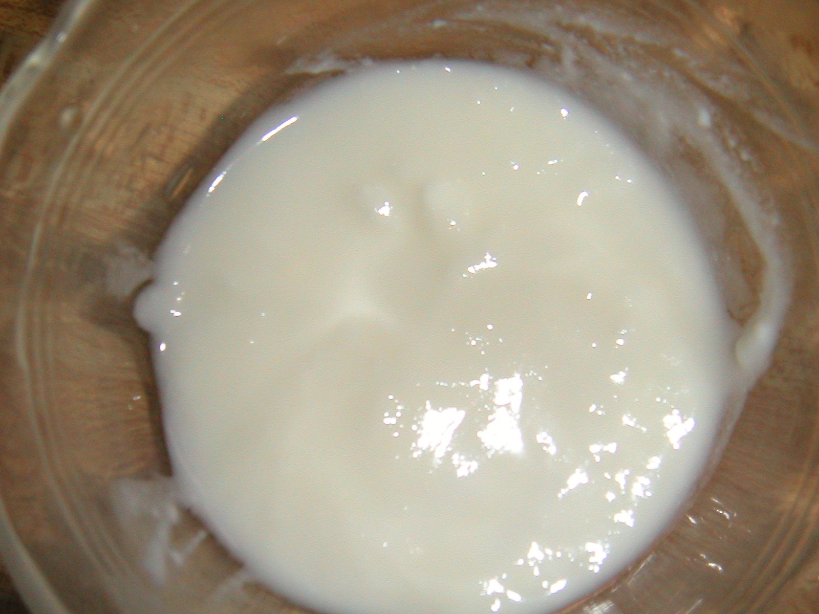 Culturing Milk: Yogurt « The EssentiaList